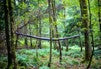 Hennessy Hammock SnakeSkins