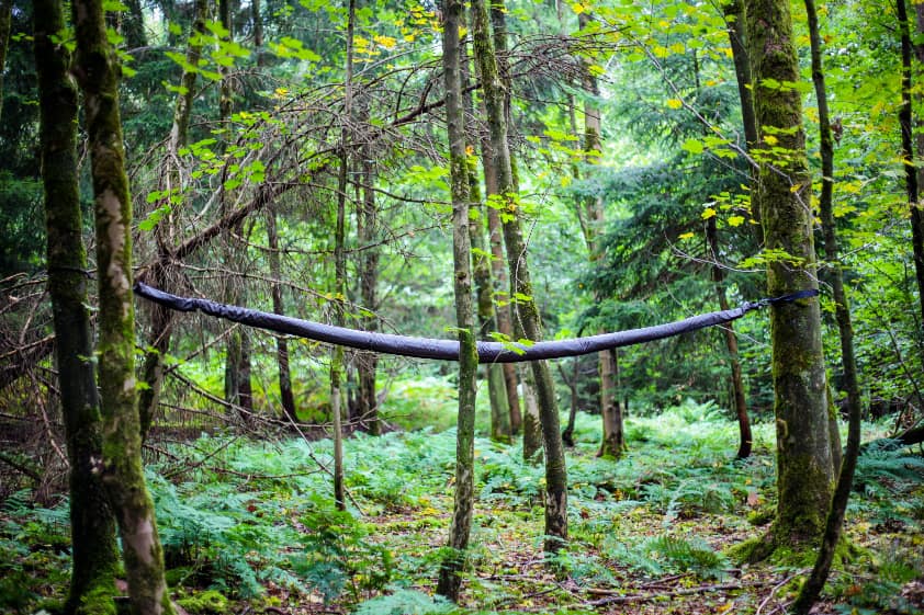 Hennessy Hammock SnakeSkins